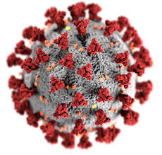 Opatření v souvislosti s epidemií koronaviru COVID-19
